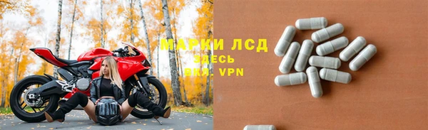 трава Магас