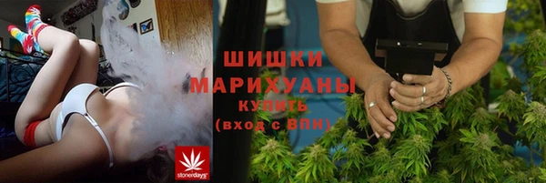 трава Магас
