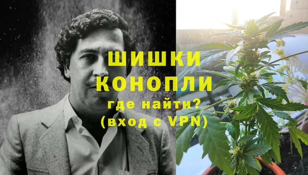 сатива Майский