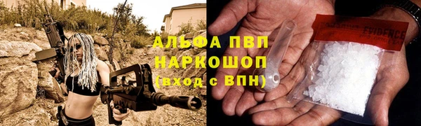 трава Магас
