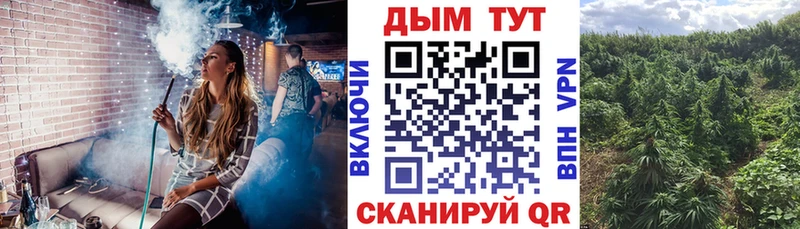 Бошки Шишки тримм  hydra зеркало  Назрань 